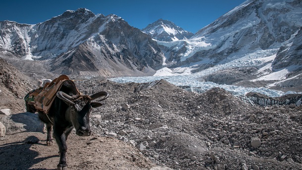 Mount Everest - historien om verdens højeste bjerg